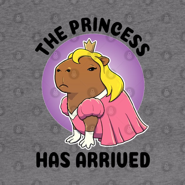 The Princess has arrived Capybara by capydays